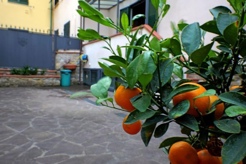 Casa Allegra Apartamento Florencia